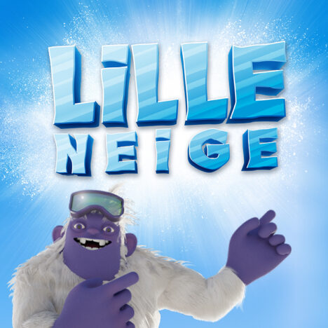 Lille Neige Gare Saint Sauveur